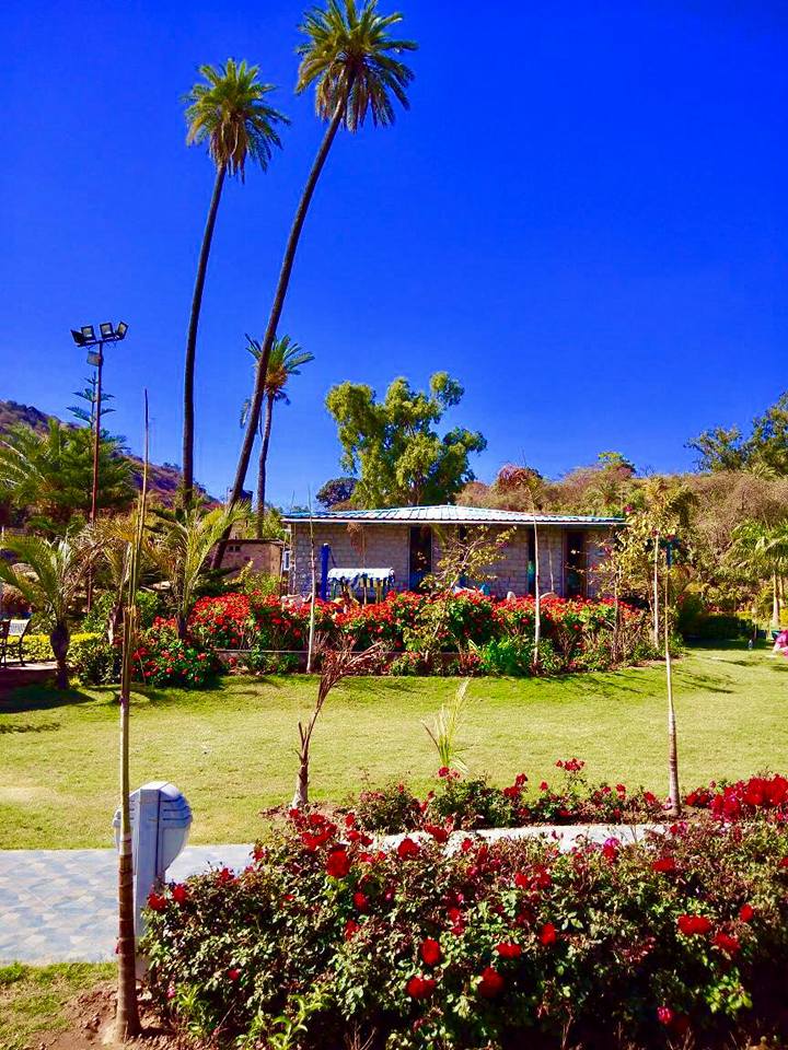 Garden Flowers- Hummingbird Resort