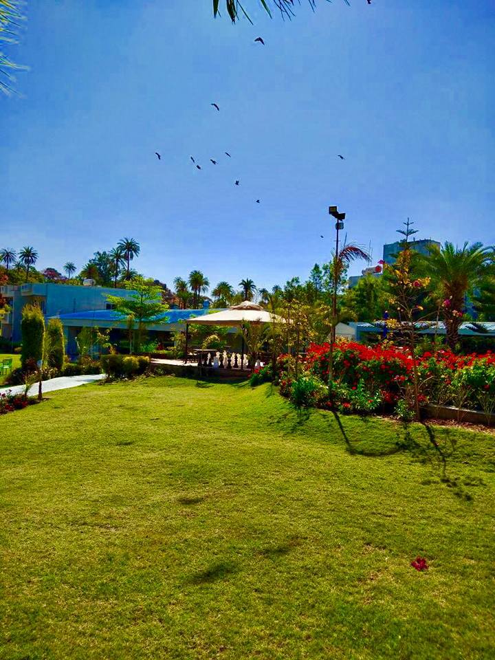 Front Garden Area- Hummingbird Resort