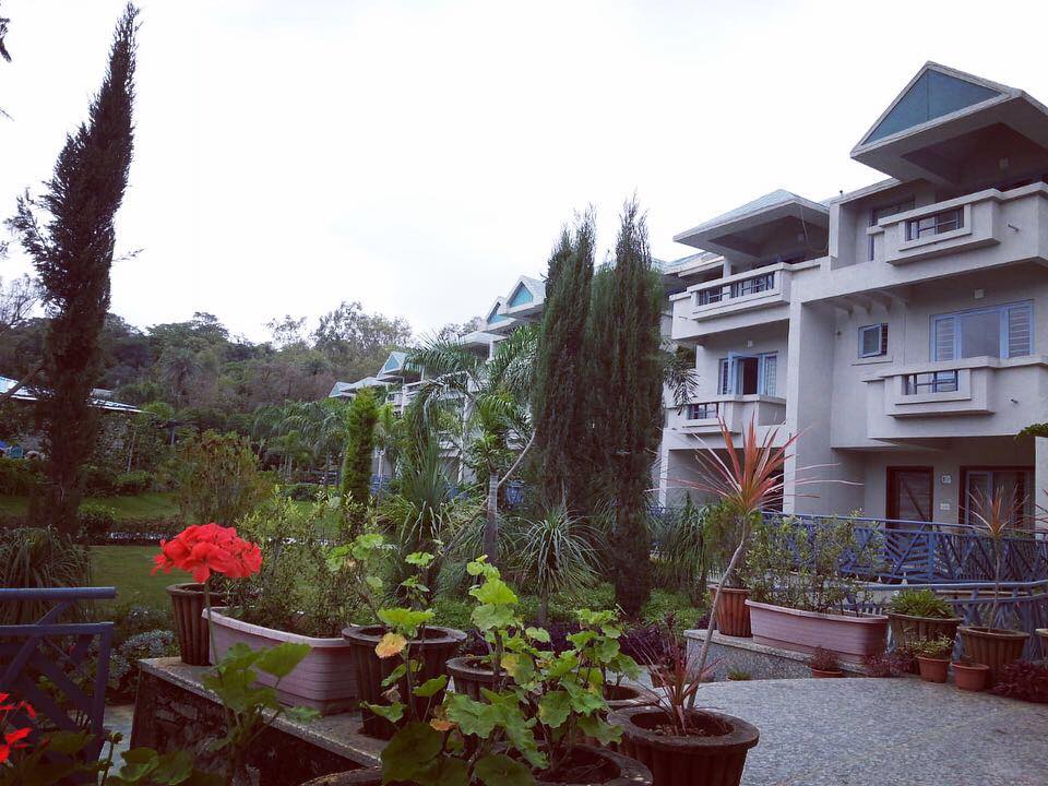 Morning view- Hummingbird Resort