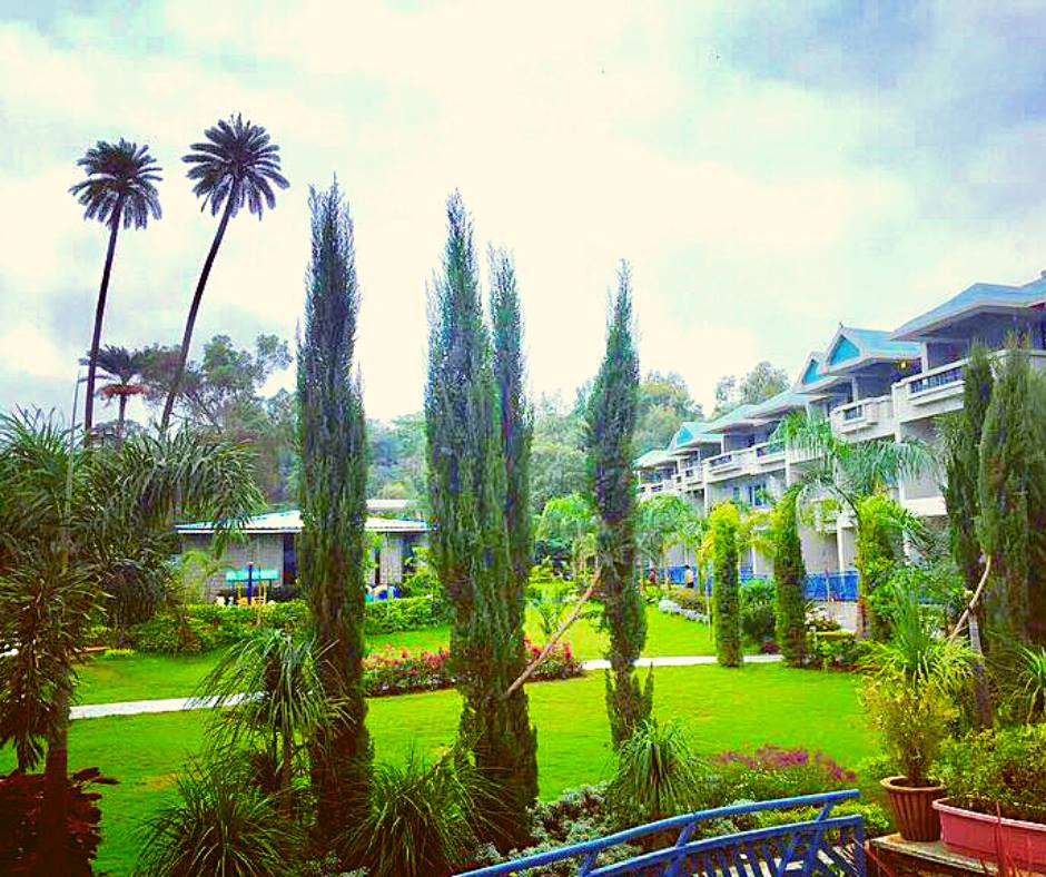 greenery of resorts- Hummingbird Resort